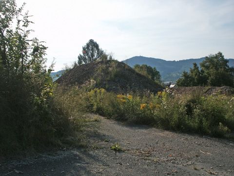 Foto 37